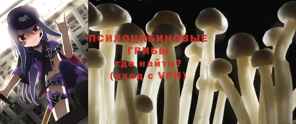 мяу мяу мука Майский