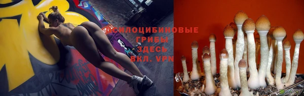 гидропоника Балахна