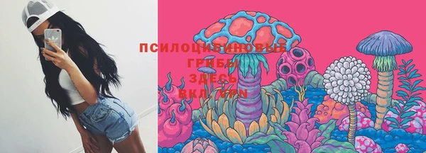 PSILOCYBIN Баксан