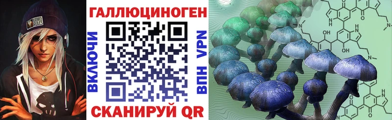 магазин    Мурманск  kraken как зайти  Псилоцибиновые грибы прущие грибы 